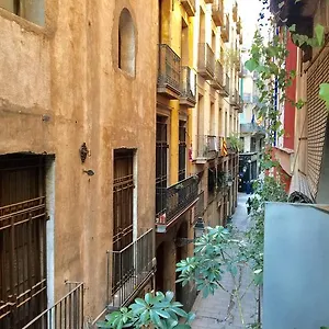 Calma House Barcelona